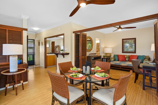 dining space with light wood-type flooring, ceiling fan, and crown molding