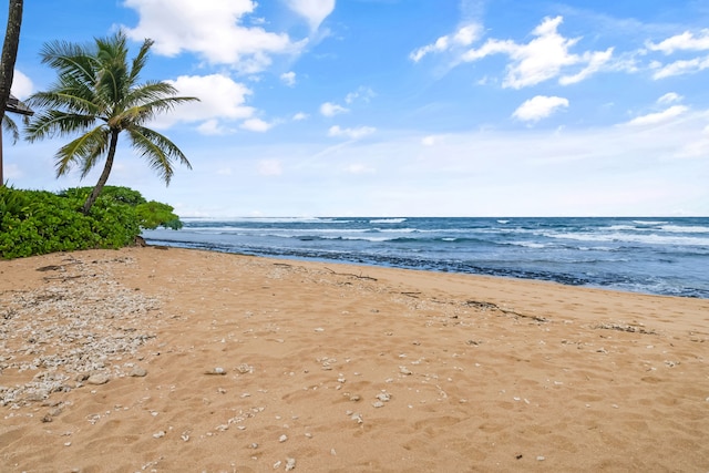 view of water feature featuring a view of the beach