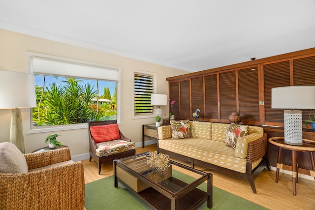 living room with hardwood / wood-style floors and ornamental molding