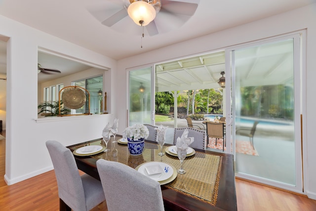 dining area with ceiling fan and light hardwood / wood-style flooring