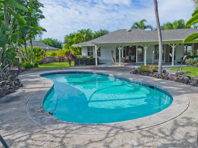 view of swimming pool featuring a patio area