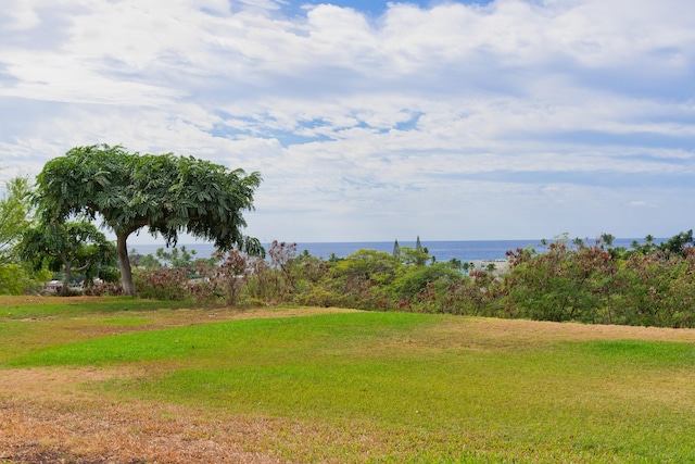 view of yard featuring a water view