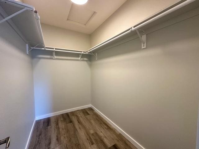walk in closet featuring attic access and wood finished floors