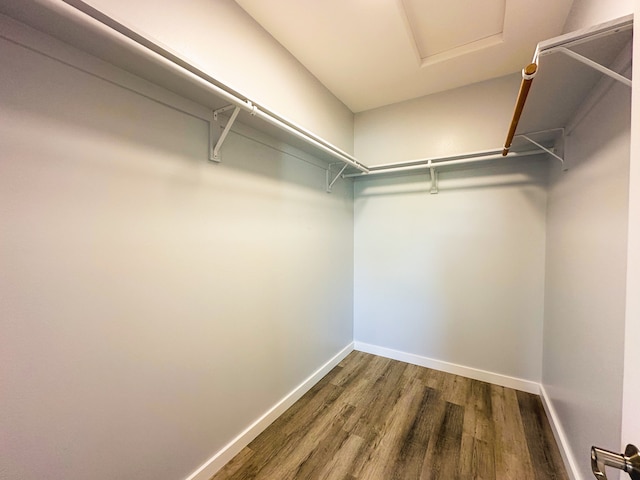 spacious closet featuring hardwood / wood-style floors