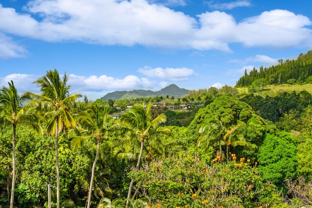 property view of mountains