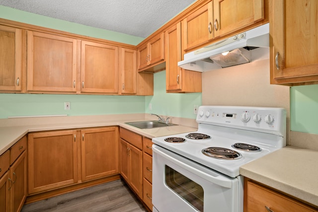 kitchen featuring sink, a textured ceiling, white electric stove, and dark hardwood / wood-style flooring