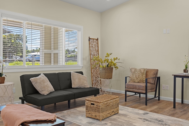 living room featuring wood-type flooring