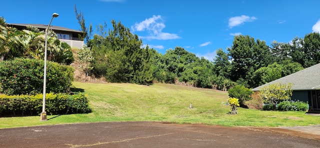 Listing photo 3 for Lani Nuu St, Kalaheo HI 96741