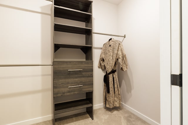 spacious closet featuring light colored carpet