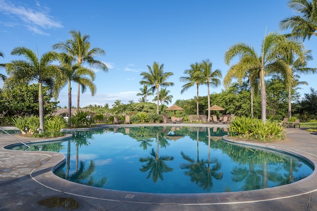 view of swimming pool featuring a patio area