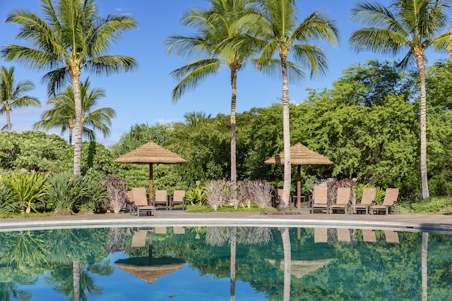 view of pool with a patio area