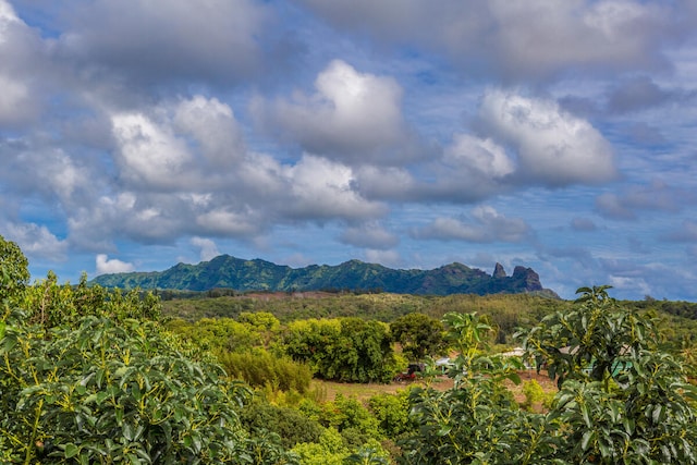 view of mountain feature