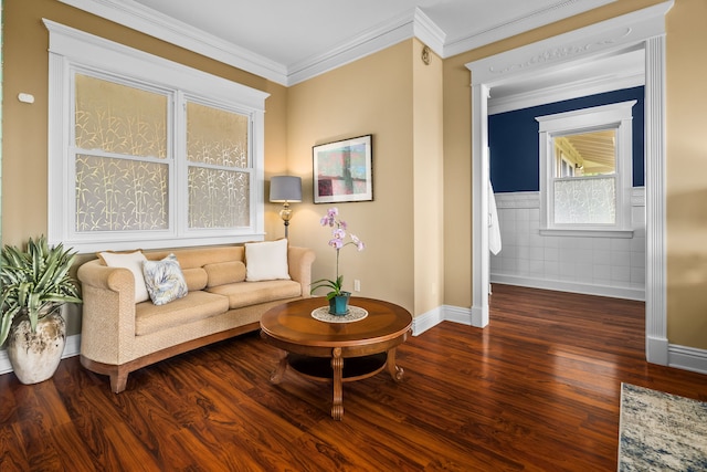 living room featuring crown molding, tile walls, and dark hardwood / wood-style flooring