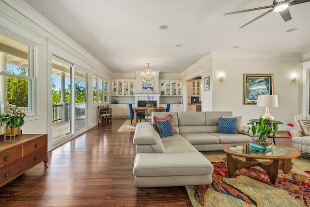 living room featuring dark wood-type flooring, crown molding, and ceiling fan with notable chandelier