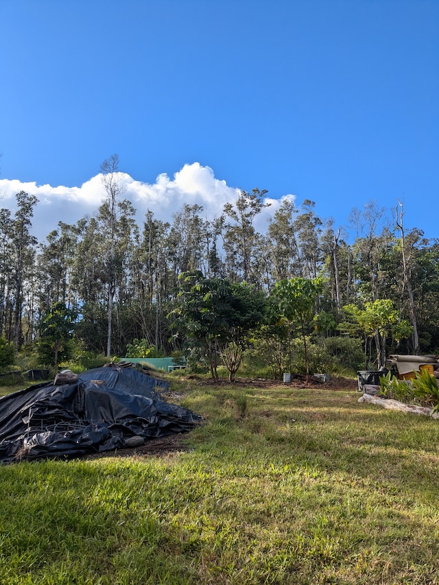 Listing photo 3 for Hilo St, Pahoa HI 96778