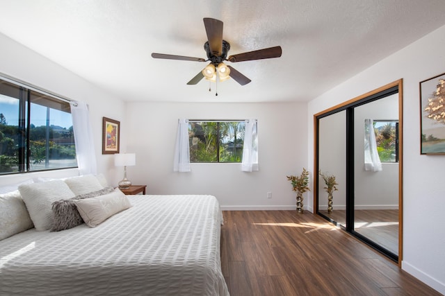 bedroom featuring multiple windows, ceiling fan, dark hardwood / wood-style flooring, and a closet