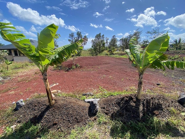 Kamoamoa St, Pahoa HI, 96778 land for sale