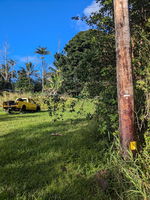 Listing photo 3 for Diamond Head Rd, Pahoa HI 96778