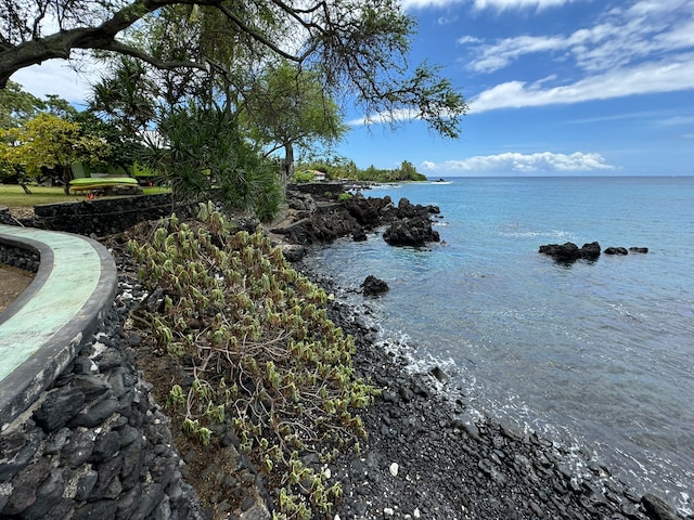 property view of water