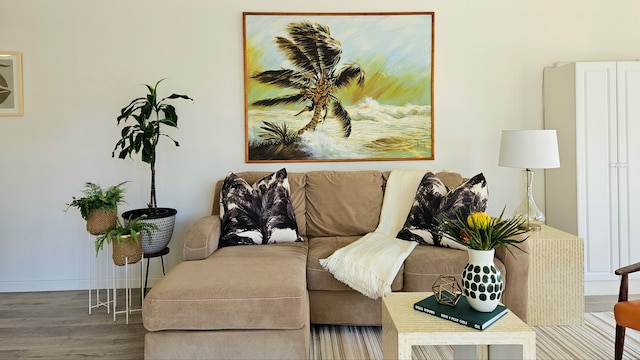 living room featuring hardwood / wood-style flooring