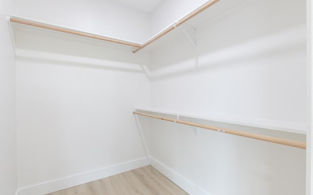 spacious closet with wood-type flooring