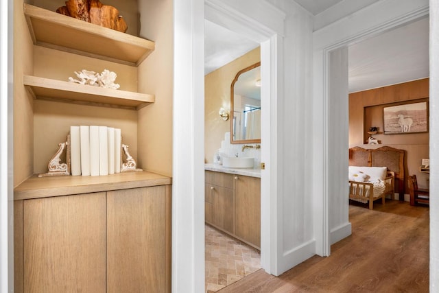 hall with wood-type flooring and sink