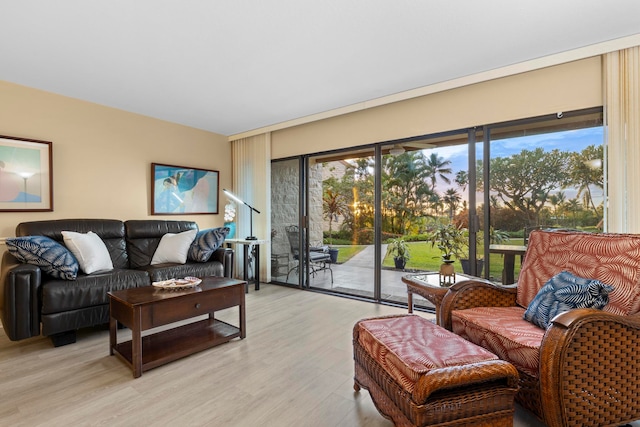 living room featuring light hardwood / wood-style flooring