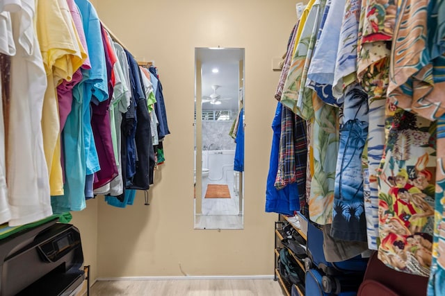 spacious closet with ceiling fan and light wood-type flooring