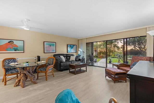 living room featuring ceiling fan and light wood-type flooring