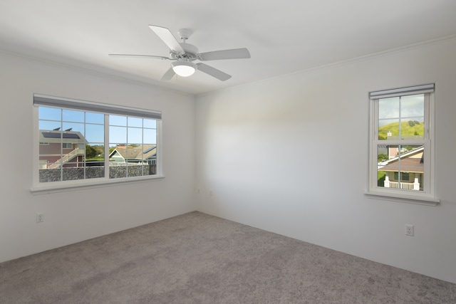 spare room with carpet flooring, ceiling fan, and crown molding