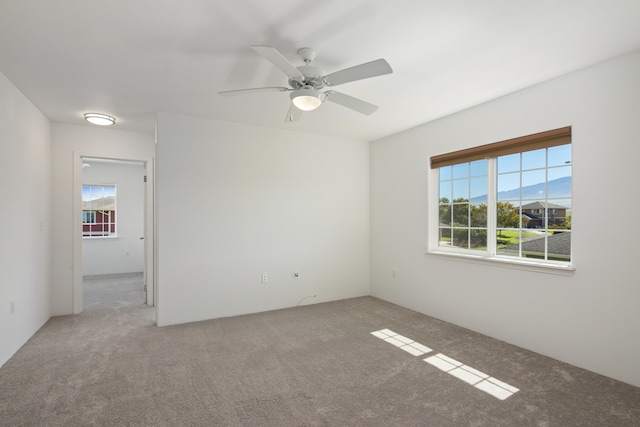 empty room featuring carpet flooring, a mountain view, and a wealth of natural light