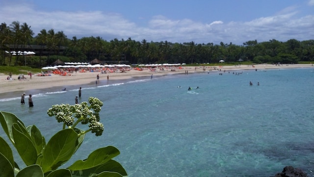 property view of water with a beach view