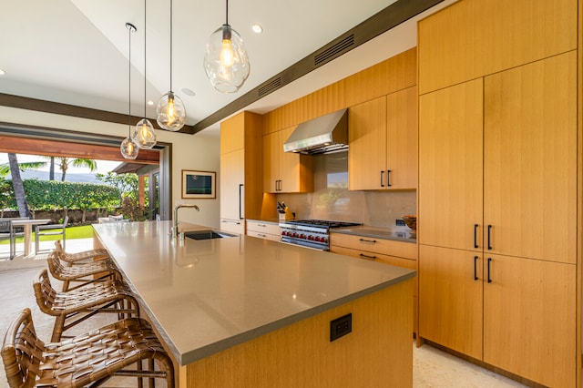 kitchen with high end range, sink, a large island, a kitchen breakfast bar, and range hood