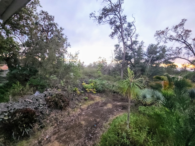 view of nature at dusk