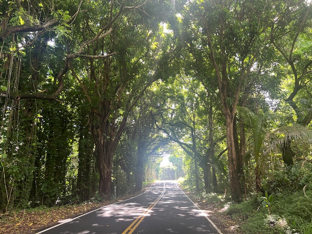 view of road