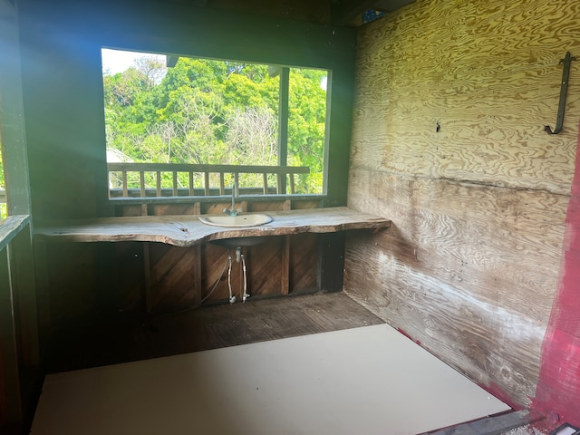 interior space with hardwood / wood-style flooring, a healthy amount of sunlight, and sink