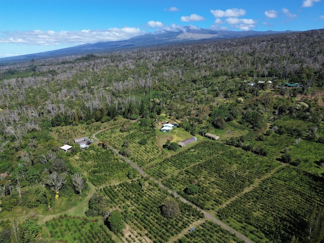 drone / aerial view featuring a mountain view