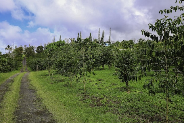 view of landscape