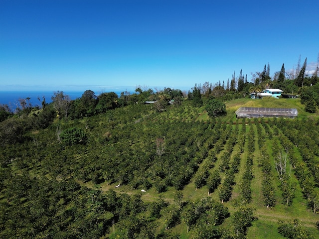 drone / aerial view featuring a rural view