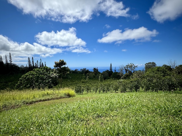 view of landscape featuring a rural view