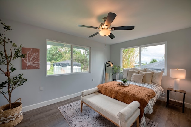 bedroom featuring ceiling fan, dark hardwood / wood-style floors, and multiple windows