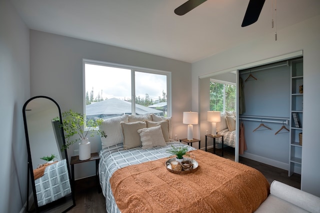 bedroom with ceiling fan, dark wood-type flooring, and multiple windows