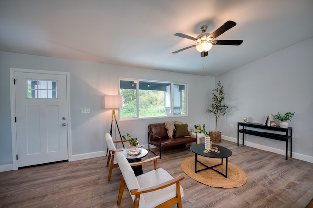 living room with ceiling fan and wood-type flooring