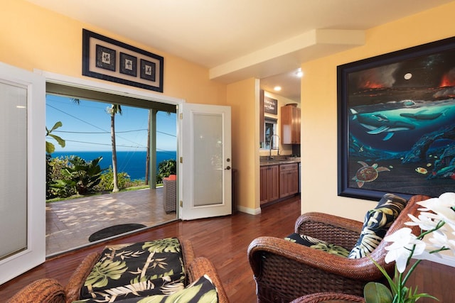 living room featuring a water view, dark hardwood / wood-style floors, and sink