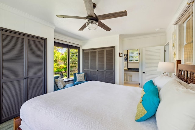 bedroom featuring crown molding, multiple closets, wood-type flooring, and ceiling fan