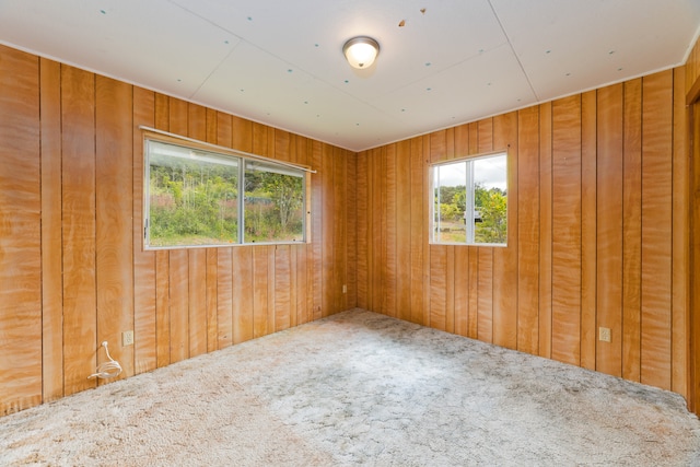 empty room with carpet floors and wood walls