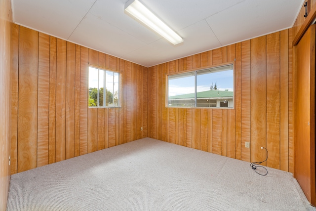 carpeted empty room with a healthy amount of sunlight and wood walls