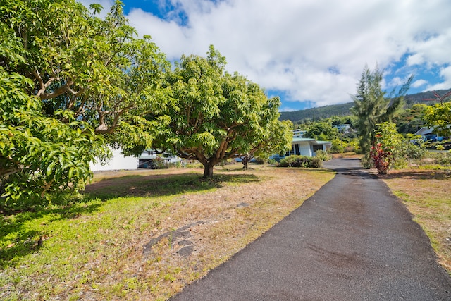 view of yard with a mountain view