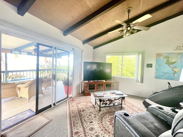 living room featuring ceiling fan, lofted ceiling with beams, and carpet flooring