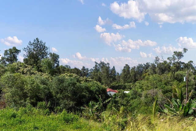 view of landscape